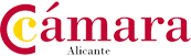 Image module